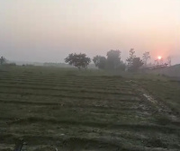  Agricultural Land for Sale in Bhagwanpur, Haridwar