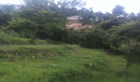 Residential Plot for Sale in Lohaghat, Champawat
