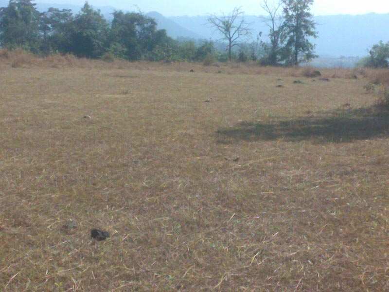 Industrial Land 113256 Sq.ft. for Rent in Kunigal, Tumkur