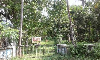  Residential Plot for Sale in Perinjanam, Thrissur, Thrissur