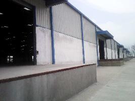  Warehouse for Rent in Sector 42 Sonipat