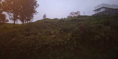  Agricultural Land for Sale in Kathadimattam, Ooty
