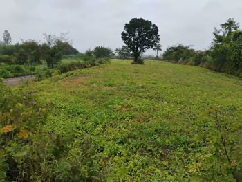  Agricultural Land for Sale in Igatpuri, Nashik