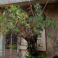 2 BHK House for Sale in Utran, Surat