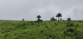  Agricultural Land for Sale in Bhor, Pune