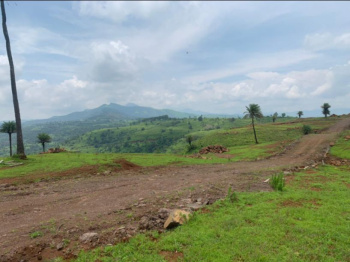  Agricultural Land for Sale in Bhor, Pune