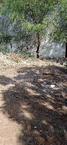 Residential Plot 1000 Sq.ft. for Sale in Indrapuri Colony, Panna