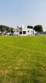 3 BHK Farm House for Sale in Najafgarh Nangloi Road, Delhi