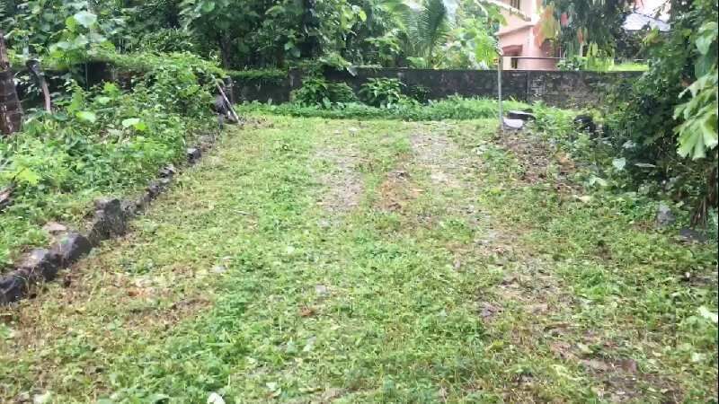  Residential Plot 5 Ares for Sale in Thamarassery, Kozhikode