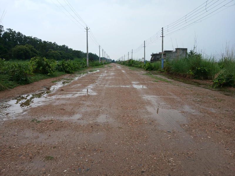  Residential Plot 175 Sq. Yards for Sale in Sector 25, Rohtak