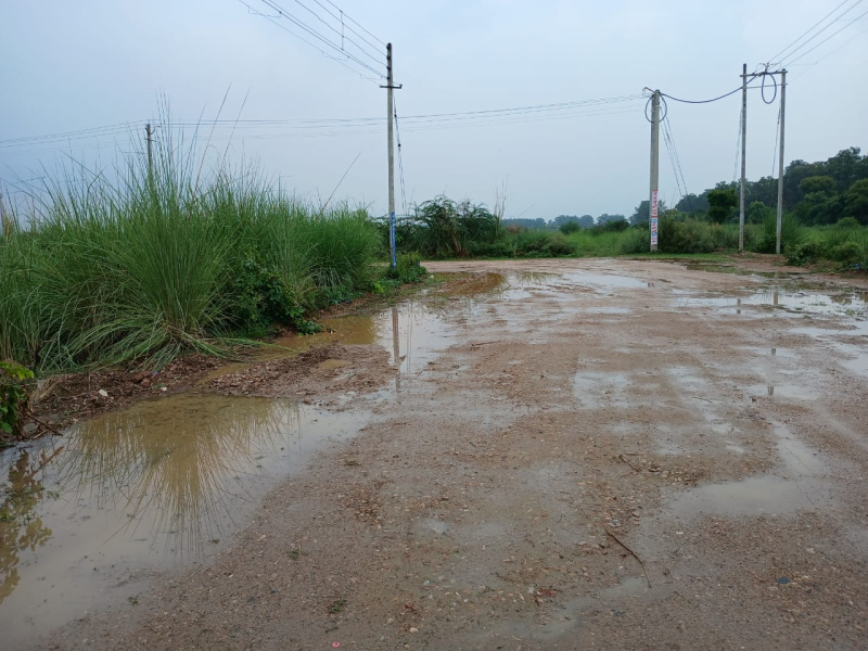  Residential Plot 175 Sq. Yards for Sale in Sector 25, Rohtak