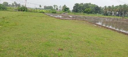  Agricultural Land for Sale in Checkanurani, Madurai