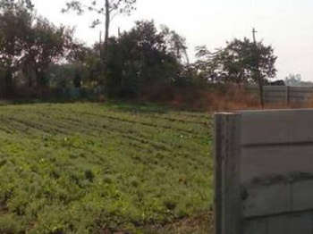  Agricultural Land for Sale in Patiala Road, Chandigarh
