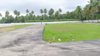  Residential Plot for Sale in Rangampalayam, Erode