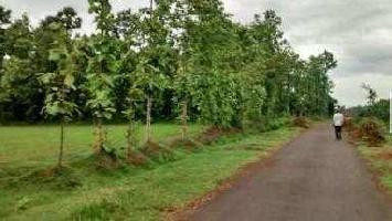  Agricultural Land for Rent in Dakamarri, Visakhapatnam