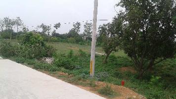  Agricultural Land for Rent in Anandapuram, Visakhapatnam