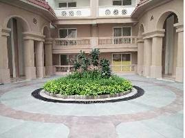 3 BHK Flat for Sale in Sector 37D Gurgaon