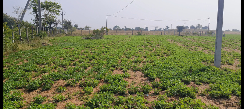  Agricultural Land 10 Acre for Sale in Achampet, Nagarkurnool