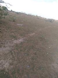  Agricultural Land for Sale in Nagamangalam, Tiruchirappalli