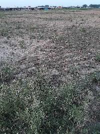  Agricultural Land for Sale in Kachhwa, Mirzapur-cum-Vindhyachal