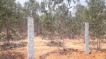  Agricultural Land for Sale in Kolar Arahalli Karanataka, Kolar