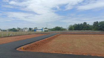  Residential Plot for Sale in Allithurai, Tiruchirappalli