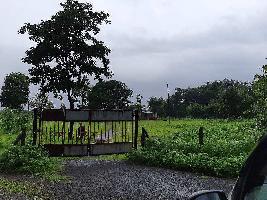  Agricultural Land for Sale in Vasind, Thane