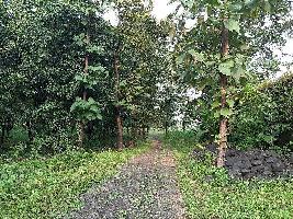  Commercial Land for Sale in Shahapur, Thane