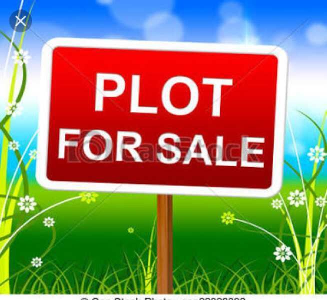  Residential Plot 11400 Sq.ft. for Sale in Burhar, Shahdol