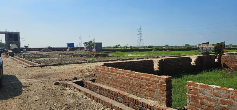  Agricultural Land 21 Sq.ft. for Sale in Chaksu, Jaipur