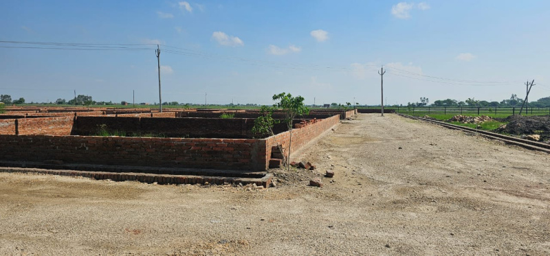  Agricultural Land 21 Sq.ft. for Sale in Chaksu, Jaipur