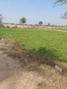  Residential Plot for Sale in Weir, Bharatpur