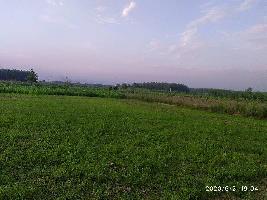 Agricultural Land for Sale in Dasuya Road, Hoshiarpur