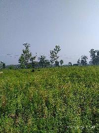  Commercial Land for Sale in Tanda Road, Hoshiarpur