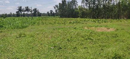  Agricultural Land for Rent in Malur, Kolar