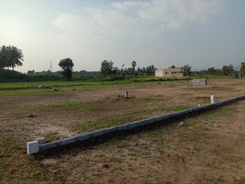 Commercial Land for Sale in Latteri, Vellore (REI927783)