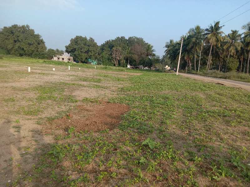 Commercial Land for Sale in Latteri, Vellore (REI927783)
