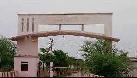  Residential Plot for Sale in Saddu, Raipur