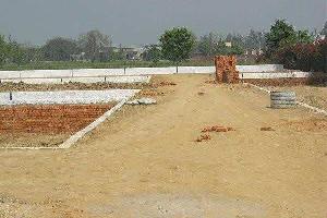  Agricultural Land for Sale in Jhatikara, Najafgarh, Delhi
