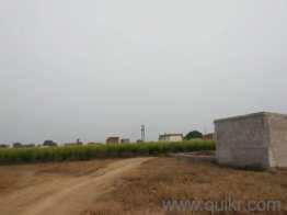  Agricultural Land for Sale in Khera Dabar, Najafgarh, Delhi
