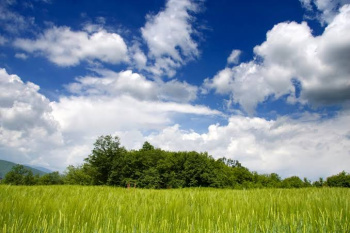  Industrial Land for Sale in Wagholi, Pune