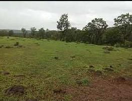  Commercial Land for Sale in Mahad, Raigad