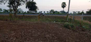  Agricultural Land for Sale in Kathipudi, East Godavari