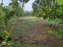  Agricultural Land for Sale in Dharampur, Valsad