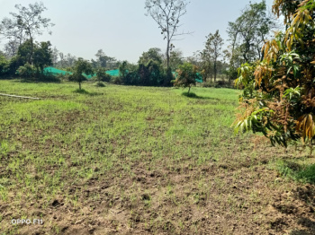  Agricultural Land for Sale in Ranip, Ahmedabad