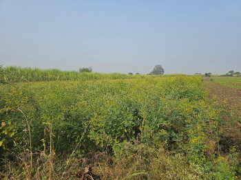  Agricultural Land for Sale in Karwad, Vapi