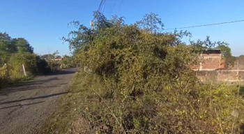  Industrial Land for Sale in Balitha, Vapi