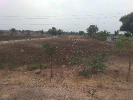  Agricultural Land for Sale in Muddebihal, Bijapur