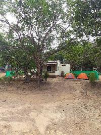 3 BHK Farm House for Sale in Murdeshwar, Uttara Kannada