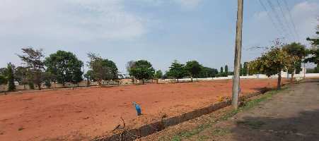  Residential Plot for Sale in Hosur Taluk, Krishnagiri